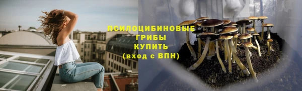 крисы Касимов