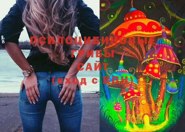 крисы Касимов