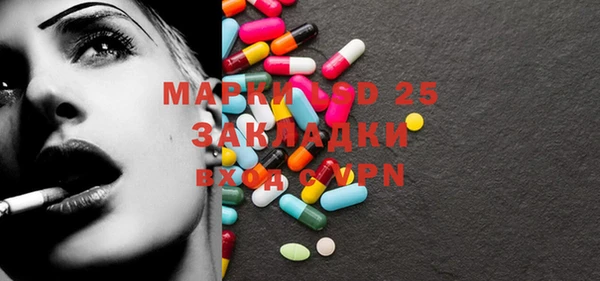 крисы Касимов