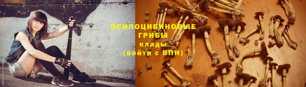 крисы Касимов