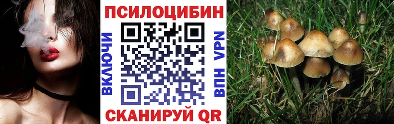 Галлюциногенные грибы Magic Shrooms  Купить закладки  Вышний Волочёк 