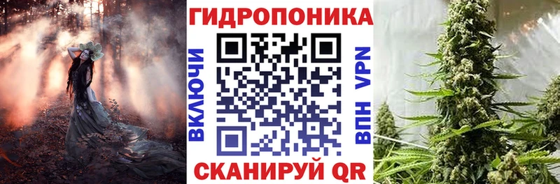 Купить  Вышний Волочёк  Каннабис план 
